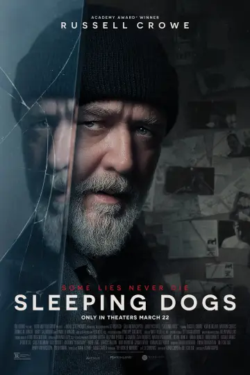Poster to the movie "Sleeping Dogs" #608424