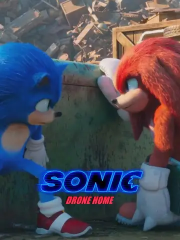 Poster to the movie "Sonic Drone Home" #1007399
