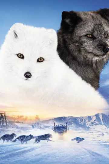 Poster to the movie "Kina & Yuk" #476374