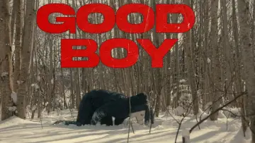 Backdrop to the movie "Good Boy" #747282