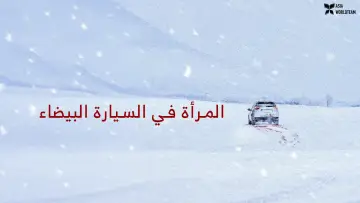 Backdrop to the movie "The Woman in the White Car" #818081