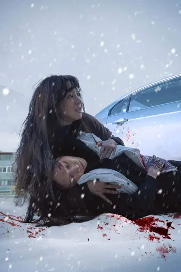 Poster to the movie "The Woman in the White Car" #912063