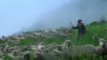 Backdrop to the movie "Shepherds" #684516