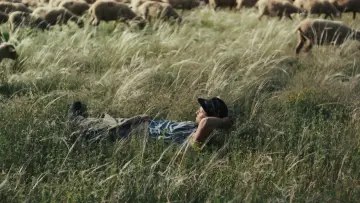 Backdrop to the movie "Shepherds" #684527