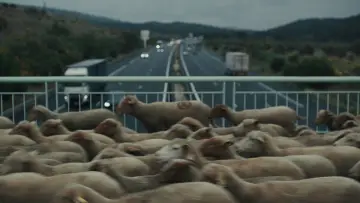 Backdrop to the movie "Shepherds" #684533