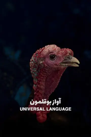 Poster to the movie "Universal Language" #654902
