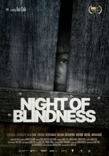 Poster to the movie "Night of Blindness" #916372