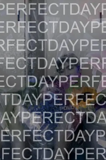Poster to the movie "Perfect Day" #1190338