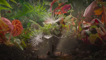 Backdrop to the movie "Dandelion