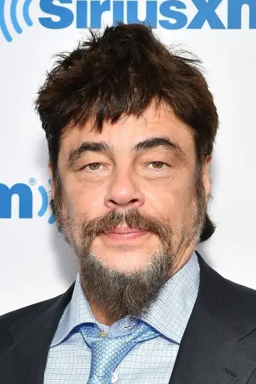 Photo Benicio del Toro #6491