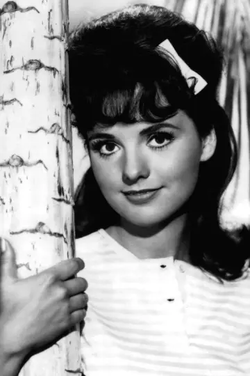Photo Dawn Wells #259779