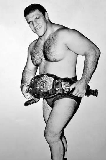 Photo Bruno Sammartino #630612