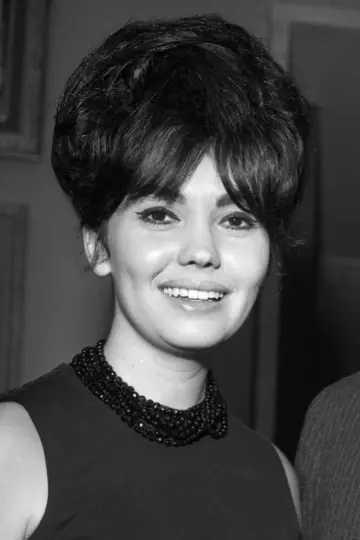 Photo Joyce Nizzari #458080