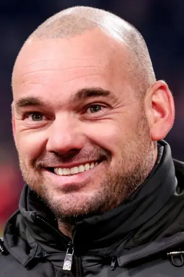 Photo Wesley Sneijder #453480