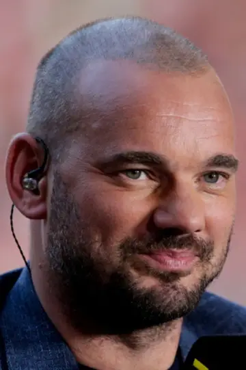 Photo Wesley Sneijder #453482