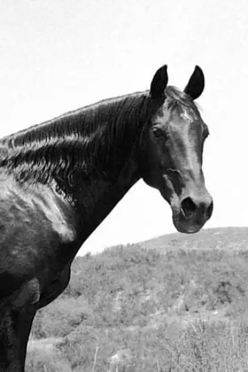 Photo Highland Dale #84349