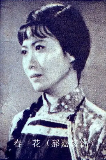 Photo Jialing Hao #340661