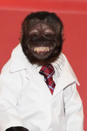 Photo Crystal the Monkey #15012