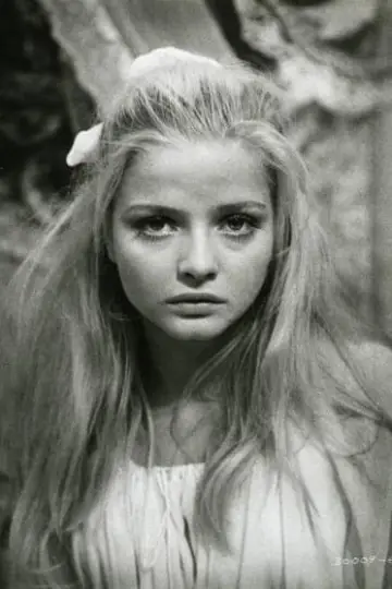 Photo Ewa Aulin #181241