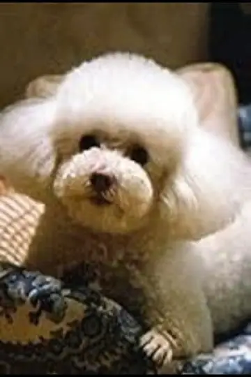 Photo Darla #325429