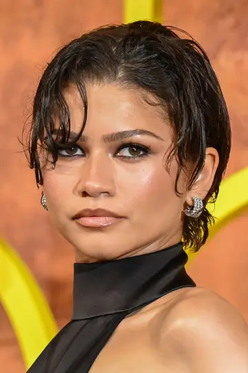 Photo Zendaya #400270