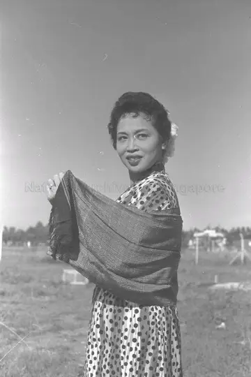 Photo Siput Sarawak #475773