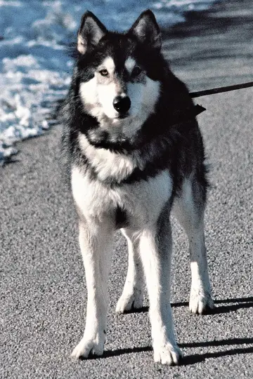 Photo Jed #372631