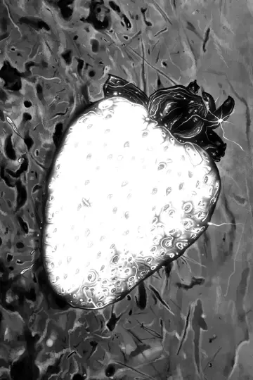 Photo White Strawberry #450505