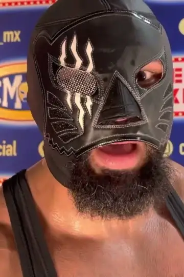 Photo Dark Panther #455272