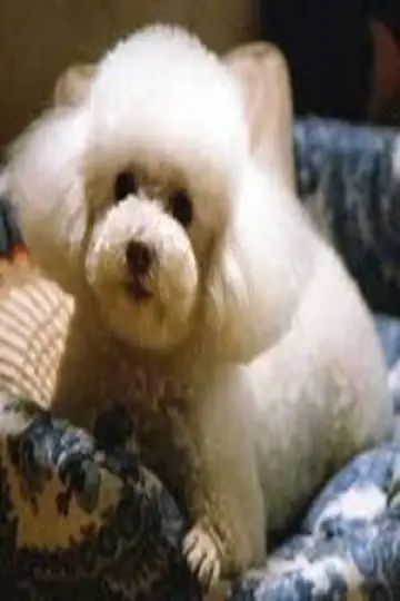 Photo Darla #373341
