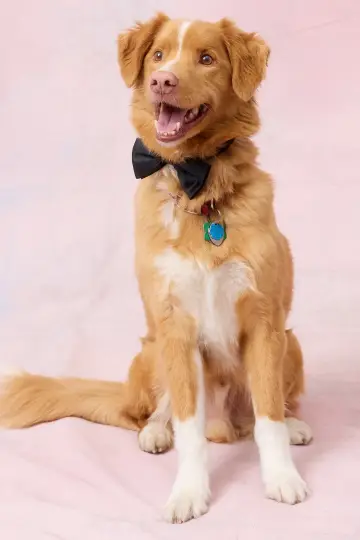 Photo Indy #439491