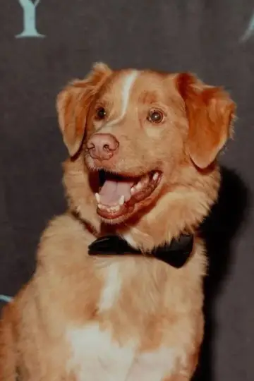 Photo Indy #439492