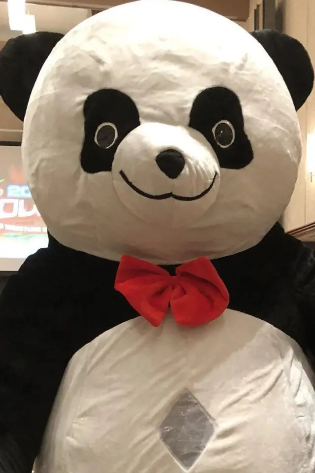 Photo Andreza Giant Panda