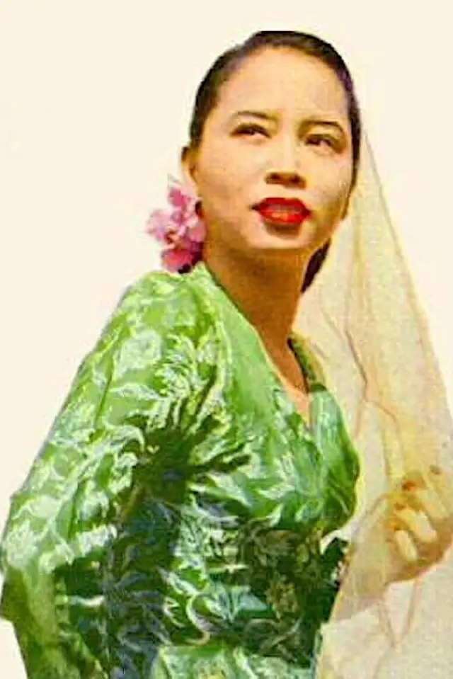 Photo Siput Sarawak