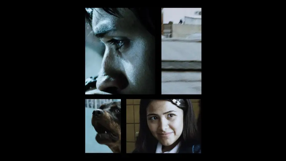 Video for the film Amores Perros — AMORES PERROS is a timeless mosaic of Mexico City in the year 2000. [Subtitled]