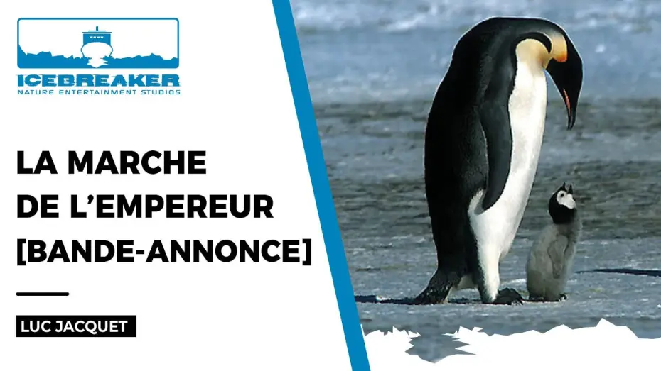 Video for the film March of the Penguins — La Marche de l'Empereur de Luc Jacquet (bande-annonce)
