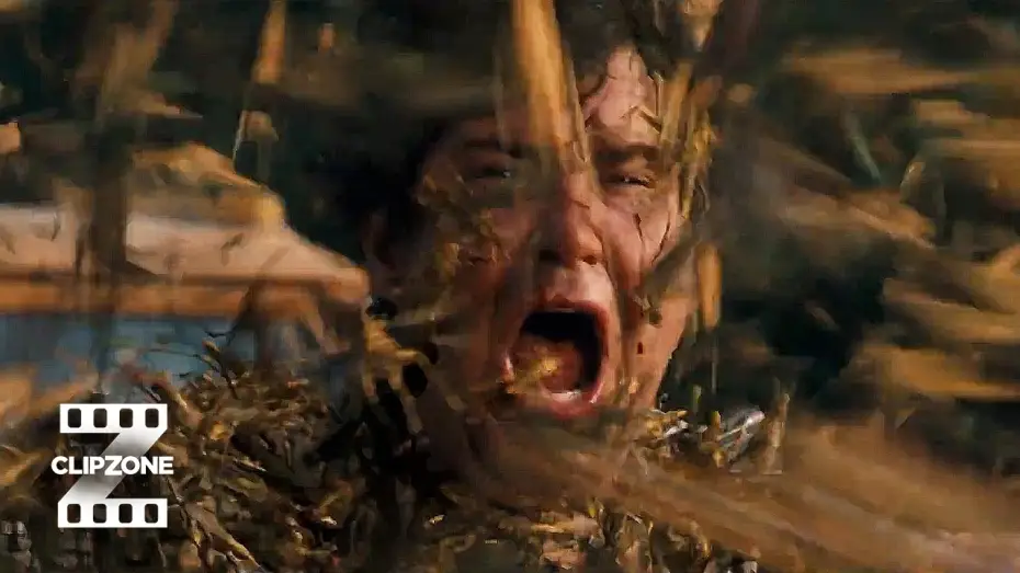 Video for the film The Reaping — Bugs Attack