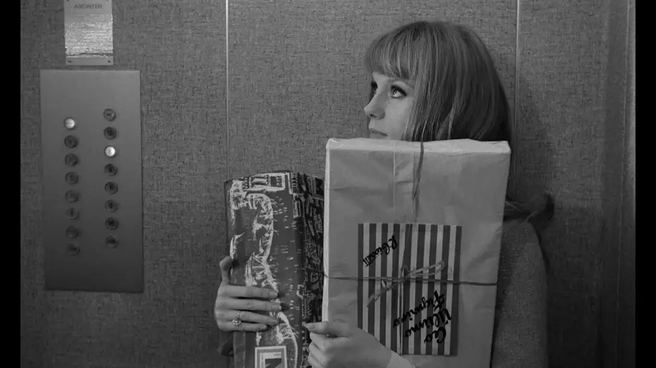 Video for the film The Soft Skin — La Peau douce - François Truffaut, 1964
