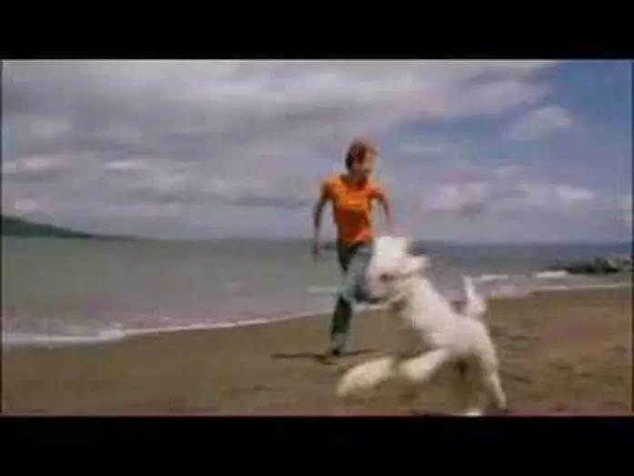 Video for the film Sweet November — Noviembre dulce