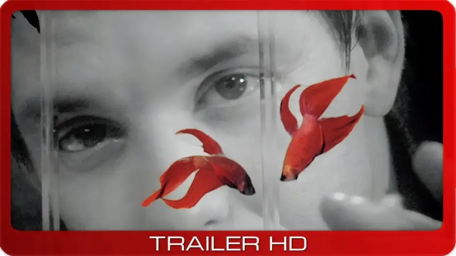 Video for the film Rumble Fish — Rumble Fish ≣ 1983 ≣ Trailer ≣ Remastered ≣ German | Deutsch
