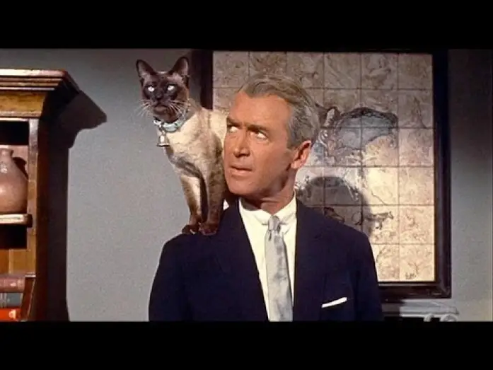 Video for the film Bell, Book and Candle — Sam Hamm on BELL, BOOK, AND CANDLE