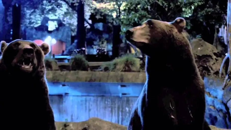 Video for the film Zookeeper — Trailer Ufficiale HD Il Signore Dello Zoo 3D - TopCinema.it