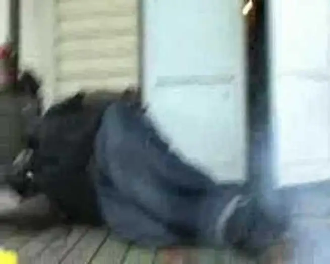 Video for the film Be Kind Rewind — BoYZ In THe HooD (sweded)