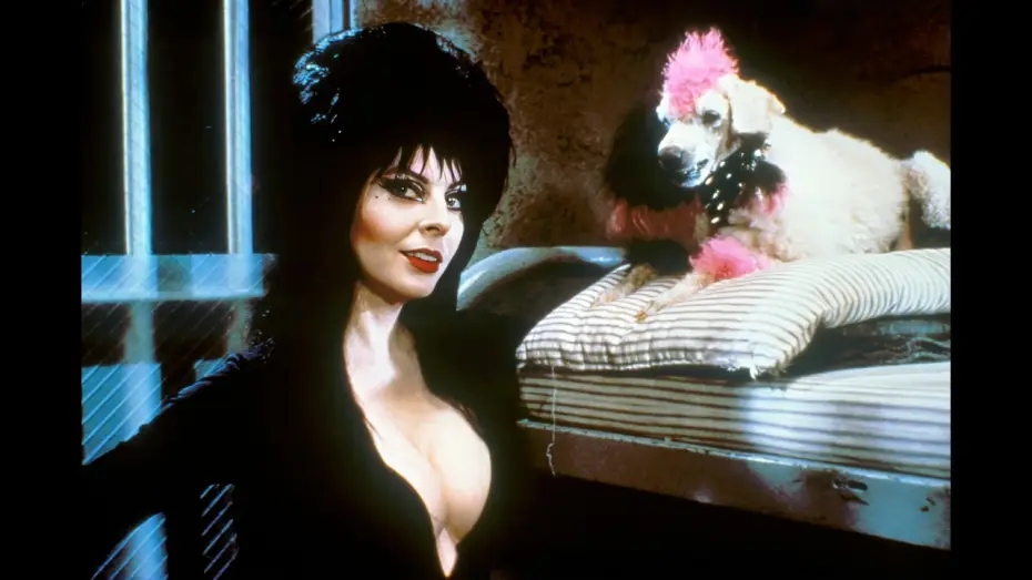 Video for the film Elvira, Mistress of the Dark — Trailer - ELVIRA, HERRSCHERIN DER DUNKELHEIT (1988, Cassandra Peterson)