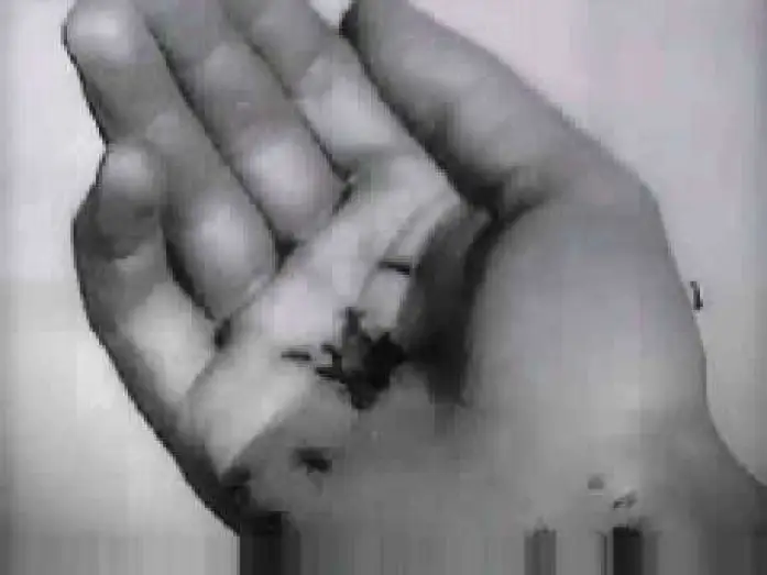 Video for the film Un Chien Andalou — Un Chien Andalou - Trailer