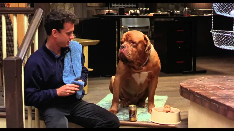 Video for the film Turner & Hooch — Turner & Hooch (Bande annonce Vf)