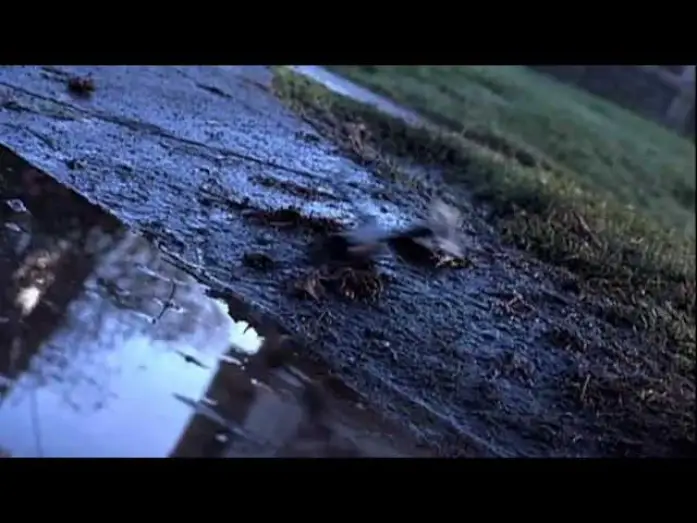 Video for the film Untraceable — Nella rete del Serial Killer trailer ita