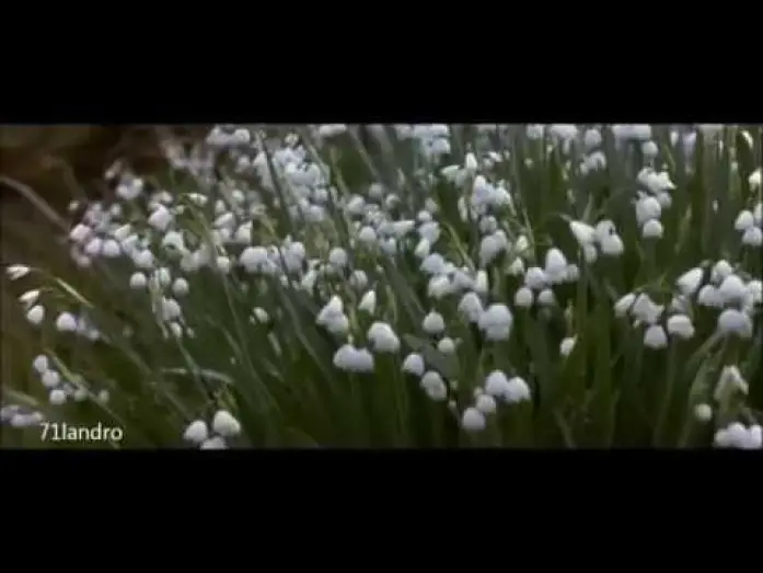 Video for the film Howards End — Regreso a Howards End: Fragmento de la muerte y las flores
