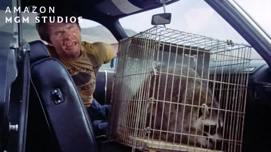 Video for the film Thunderbolt and Lightfoot — Hitchhiking With A Raccoon
