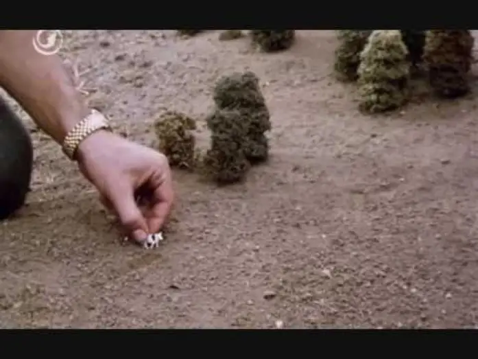 Video for the film Top Secret! — Top secret - plan de entrada